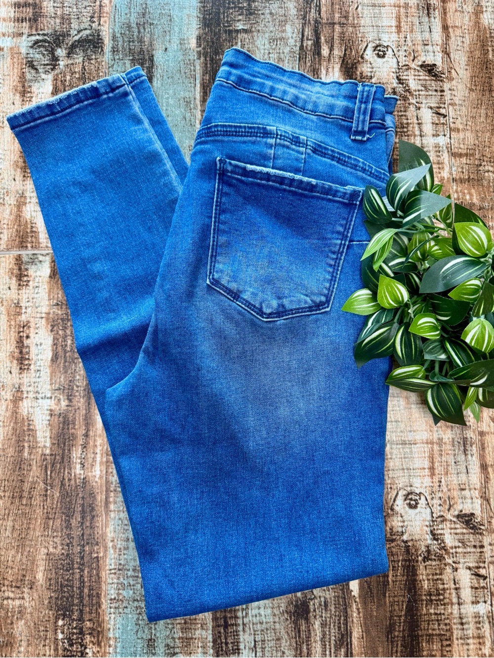 Women’s “WAX JEAN” Skinny Jeans | #T61